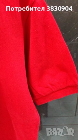 Поло шърт Lacoste, L, 100% памук, снимка 5 - Тениски - 42195621