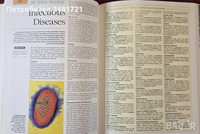 Голяма Гинес енциклопедия / The Guinness Concise Encyclopedia, снимка 5 - Енциклопедии, справочници - 53748316