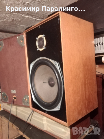 Шведи 10", снимка 3 - Тонколони - 36173757