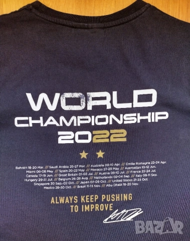 F1 Racing Team #33 Max Verstappen - мъжка тениска, снимка 13 - Тениски - 53756141