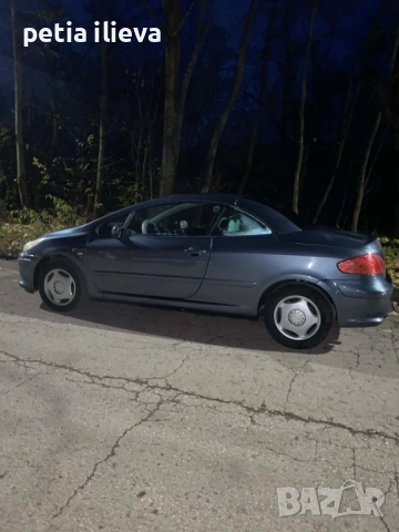 307cabrio, снимка 2 - Автомобили и джипове - 52527539