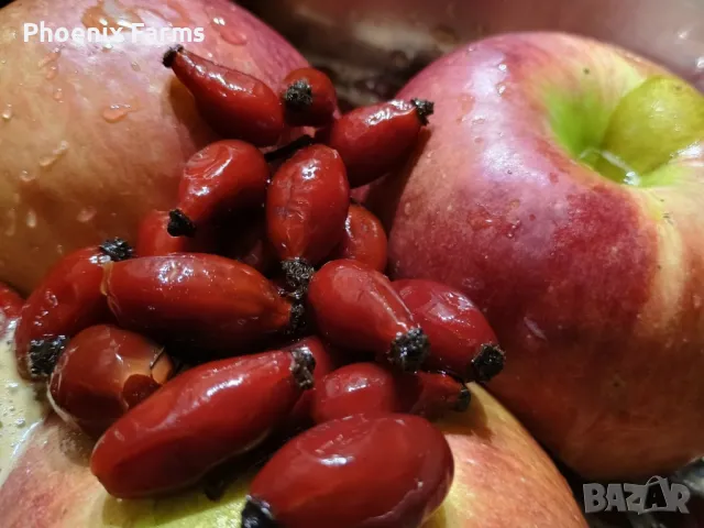 Боров прашец суров веган , снимка 6 - Хранителни добавки - 49841645