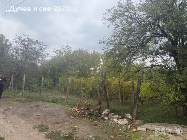 Продавам парцел с лозе и вода с. Калипетрово 