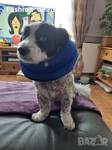 Нов Защитен надуваем нашийник за кучета котки Възстановяване Грижа, снимка 7 - Други стоки за животни - 41813078