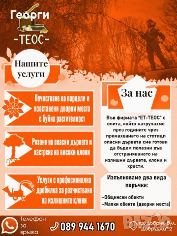 Почистване на запустели обекти, дворни места и терени, снимка 3 - Почистване на домове - 41573952