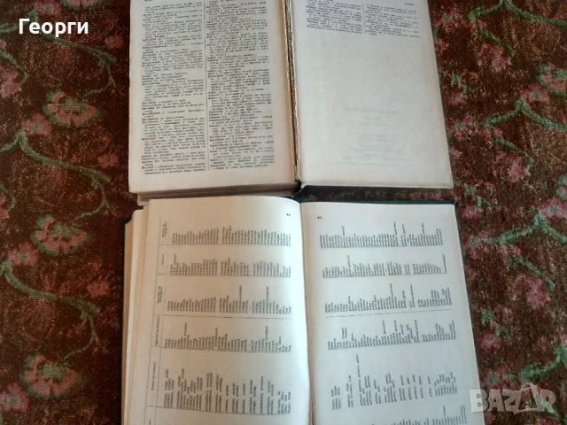 Немско-Български речник в 2 тома ( комплект) , снимка 5 - Чуждоезиково обучение, речници - 50986538