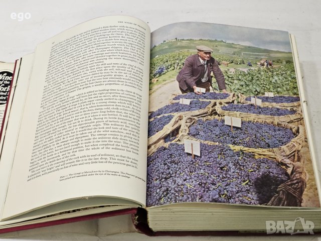 Страхотна книга за виното , снимка 4 - Специализирана литература - 41315336