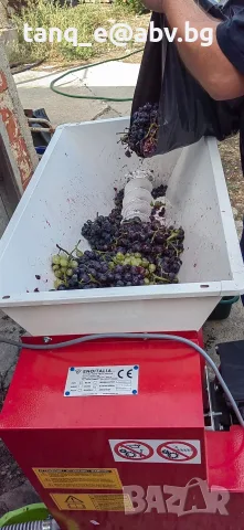 мелене на грозде с отделяне на чепки
