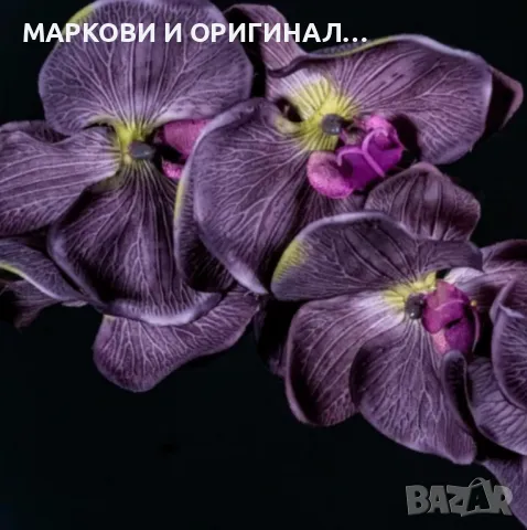 Yodeyma OUDE 50мл. Дамски парфюм, снимка 9 - Дамски парфюми - 49271212