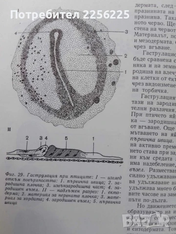 От яйцето до възрастния организъм, снимка 2 - Специализирана литература - 50762465