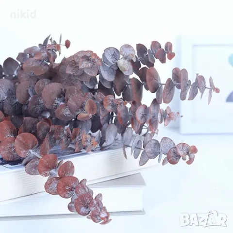 5 бр Естествени Листа от Евкалипт Клони Стъбла Сухи Цветя декорация