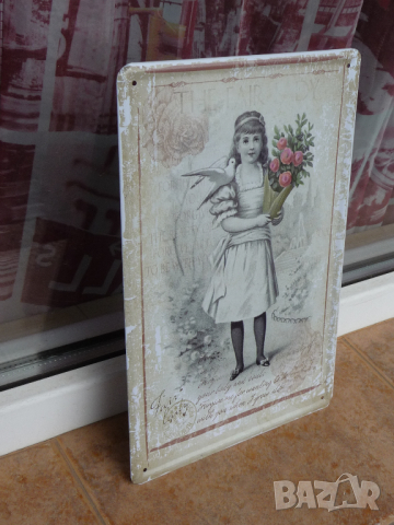 Метална табела разни момиче гълъб рози мир ретро диадема цветя, снимка 2 - Декорация за дома - 44751644