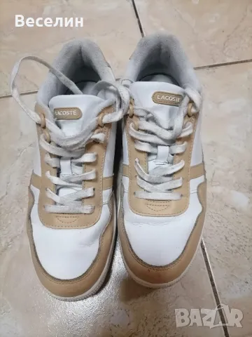 Кецове Lacoste 40 номер, снимка 3 - Маратонки - 49678756