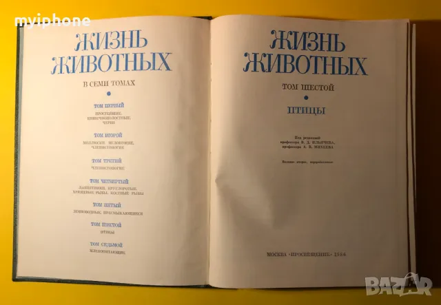 Стара Книга от Поредицата Живота на Животните/ Птиците том 6, снимка 4 - Енциклопедии, справочници - 49252831