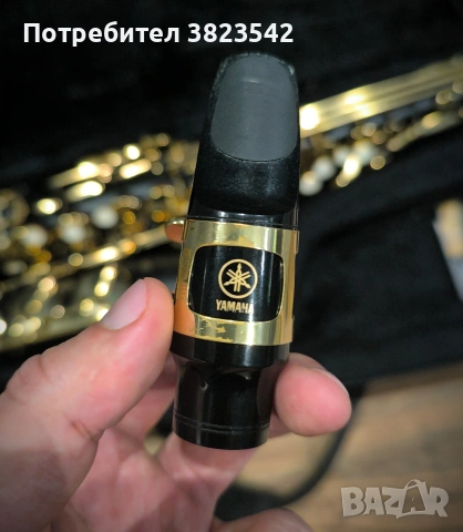 Алт саксофон "Cecilio" , снимка 6 - Духови инструменти - 53231706