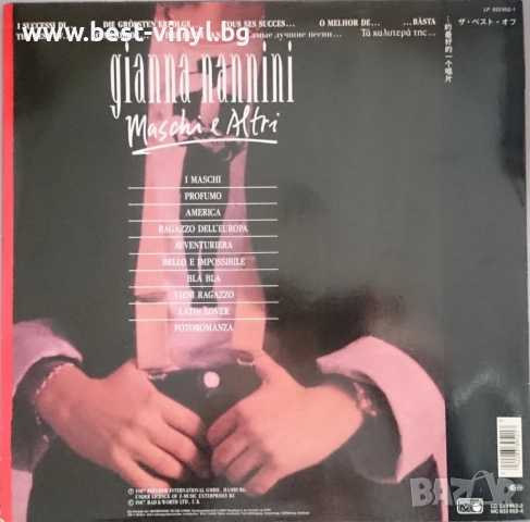 Грамофонна Плоча (Gianna Nannini - Maschi E Altri), снимка 2 - Грамофонни плочи - 52662665