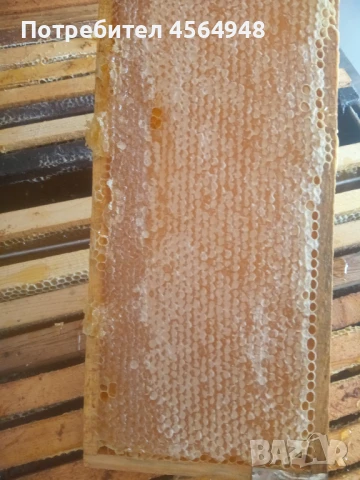 Пчелен мед от Странджа 7,00 лева за 1 килограм в буркан , снимка 6 - За пчели - 51369721