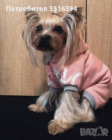 Дрехи за малки куче, снимка 2 - За кучета - 52334653