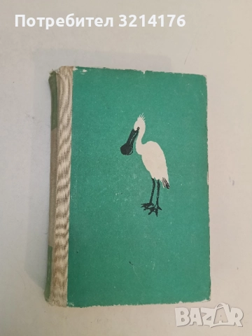 Човешка голгота. Избрани повести - Рангел Игнатов, снимка 3 - Българска литература - 51732057