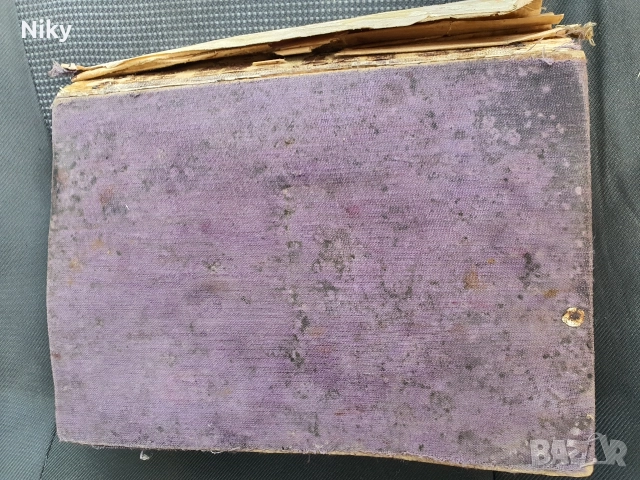 Библия-Семейна Литопис 1925г. , снимка 4 - Антикварни и старинни предмети - 52721150