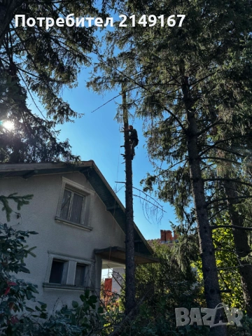 Рязане почистване извозване , снимка 11 - Други услуги - 53743500