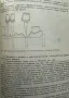 Пропедевтика на ортопедичната стоматология Учебник за студенти по стоматология Иван Тодоров, Ралин Р, снимка 3
