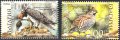 Чисти марки Европа СЕПТ Птици 2019 от България, снимка 1 - Филателия - 41542875