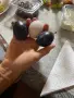 Сини сливи за ракия, снимка 2