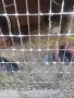 Квачка с 6 пилета 30 евро , снимка 5