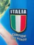 Италия Световни Шампиони 2006 мъжка тениска фланелка XL Campioni Del Mondo Italia Italy , снимка 9