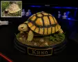 Персонализирана Фигурка на домашен любимец, снимка 4