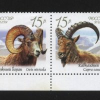 Чисти марки  Фауна Козли и Овни 2013 от Русия , снимка 1 - Филателия - 42145384