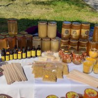 Пчеле мед от регистринан пчелин, снимка 8 - Пчелни продукти - 41851402