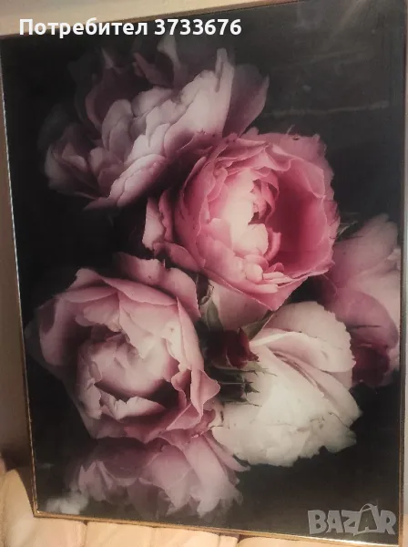 Картина- рози, импресия, снимка 1