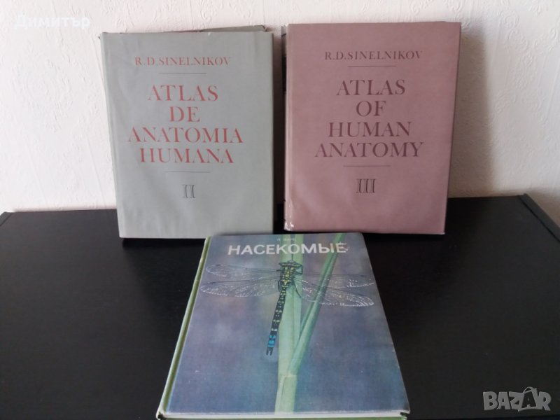 Атласи анатомия на човека на английски, снимка 1