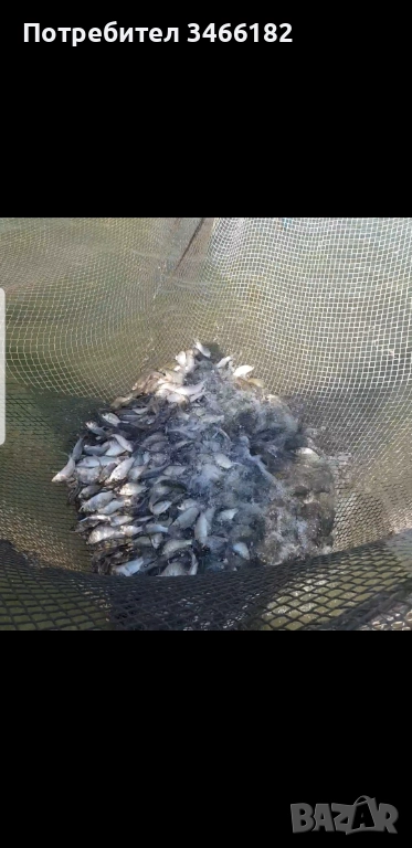 Садка за съхранение на риба, снимка 1