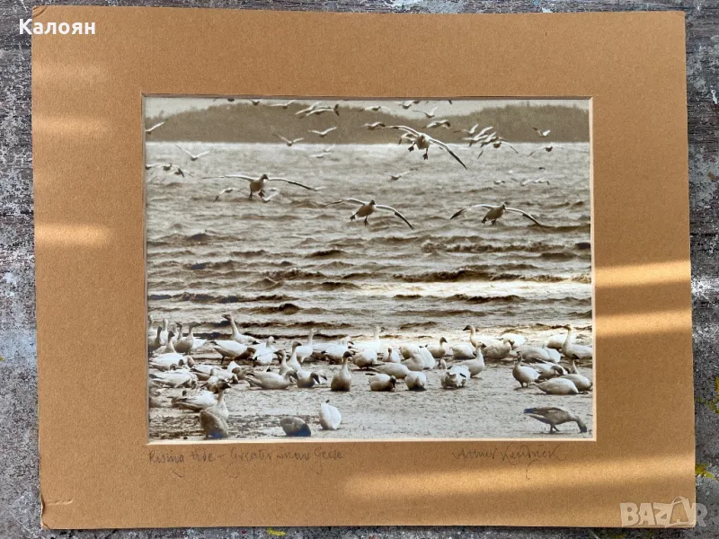 Фотография с паспарту на американския фотограф Артур Кендрик, снимка 1