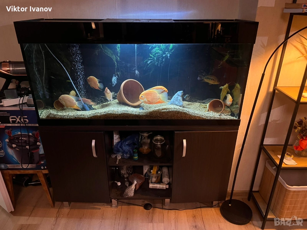 Дизайнерски кантиран аквариум с шкаф, снимка 1