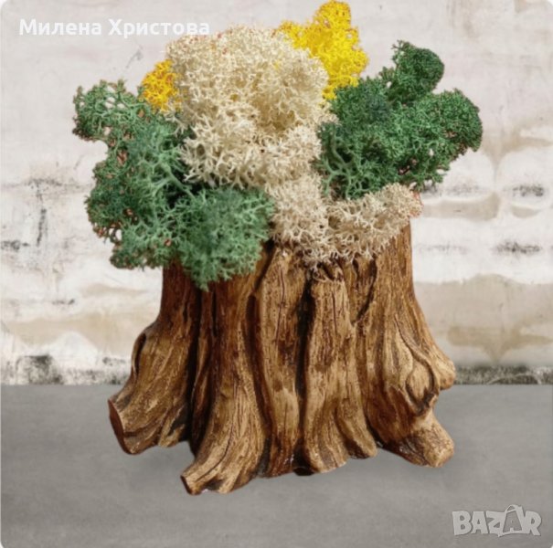 кашпа със скандинавски мъх , снимка 1