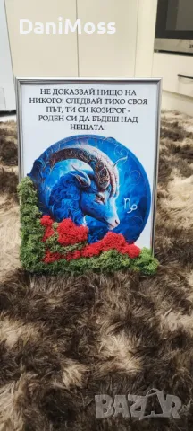 Картина със скандинавски мъх за зодия козирог, снимка 1