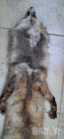 Кожа шал от лисица , снимка 16 - Антикварни и старинни предмети - 52920531