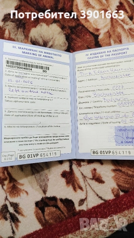 Продавам мъжко кученце на 6 месеца, снимка 4 - Курцхаар - 53474878