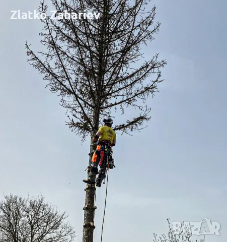 Рязане,оформяне,укрепване на опасни дървета , снимка 8 - Други услуги - 39864280