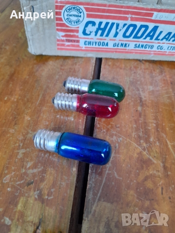 Стара крушка,крушки Chiyoda, снимка 6 - Други ценни предмети - 36047400