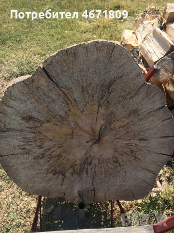 Шайби със големи размери, снимка 4 - Други стоки за дома - 52734456