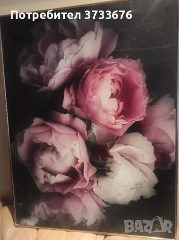 Картина- рози, импресия