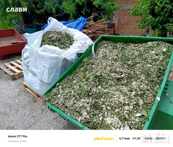 ЧЕРНИЧЕВ МУЛЧ / ДЪРВЕСЕН ЧИПС / Натурален мулч, снимка 16 - Градински цветя и растения - 51494873