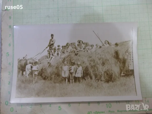 Снимка стара на мъж върху сламата с много деца на каруца