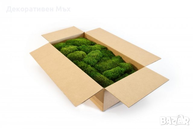 Косовиден скандинавски естествен мъх - Hair Moss, снимка 5 - Декорация за дома - 39358385