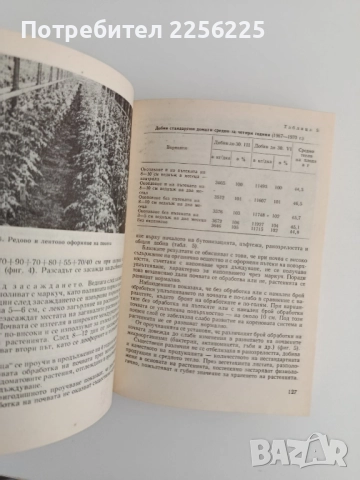 Производство на зеленчуци в оранжерии, снимка 4 - Специализирана литература - 51642396